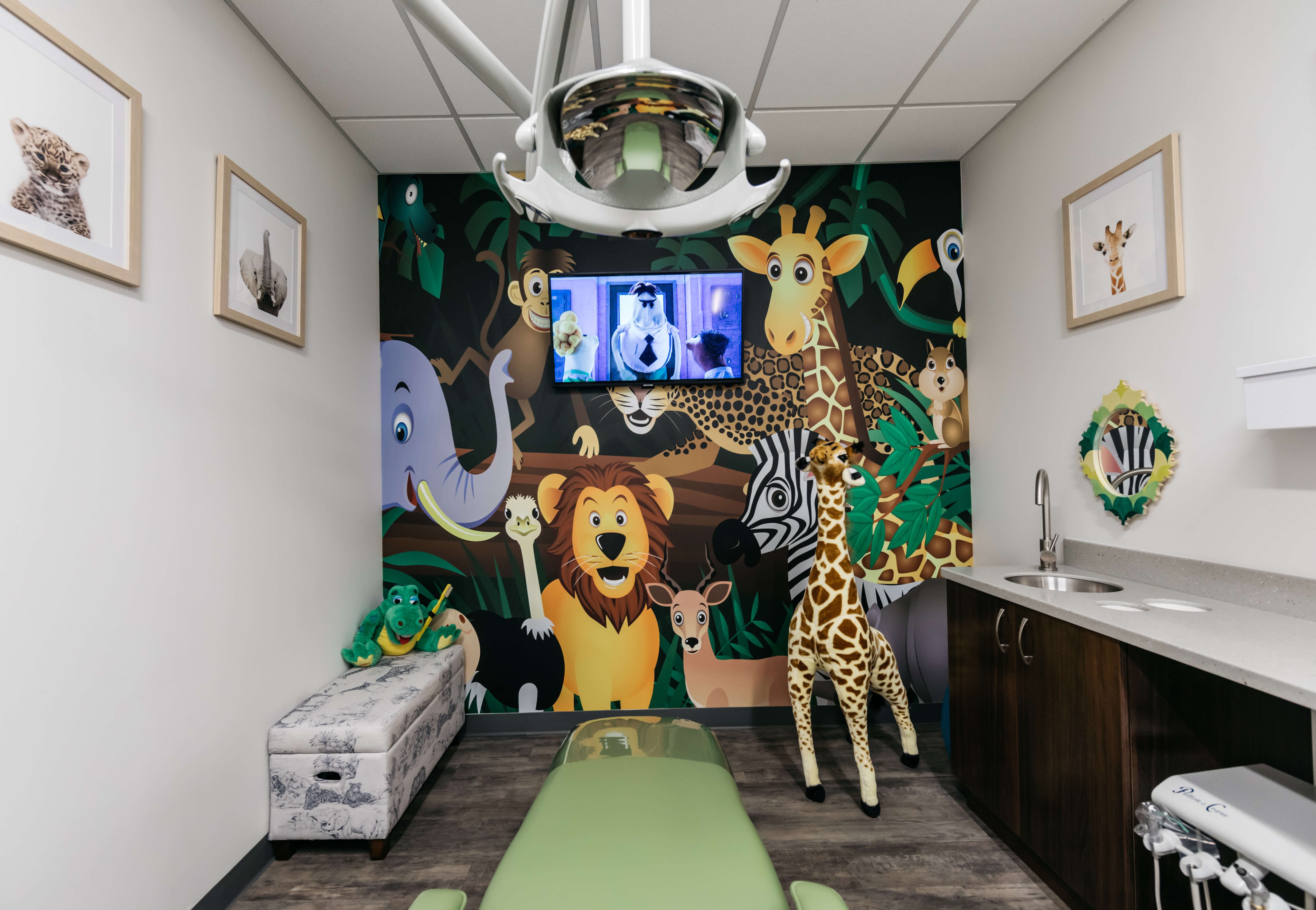 Dental Examination Room for Children