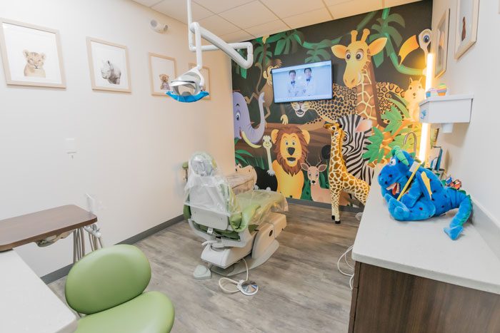 Bear Brook Dental PEDO Room 1